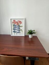 West Coast Drive (D5), Terrace #593692611